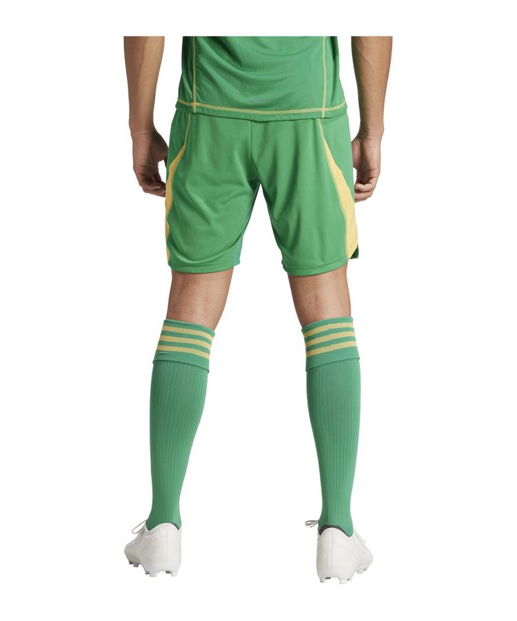 adidas adidas Tiro 24 Pro Torwartshort Torwarthose Herren - gruen - 1 | SportScheck