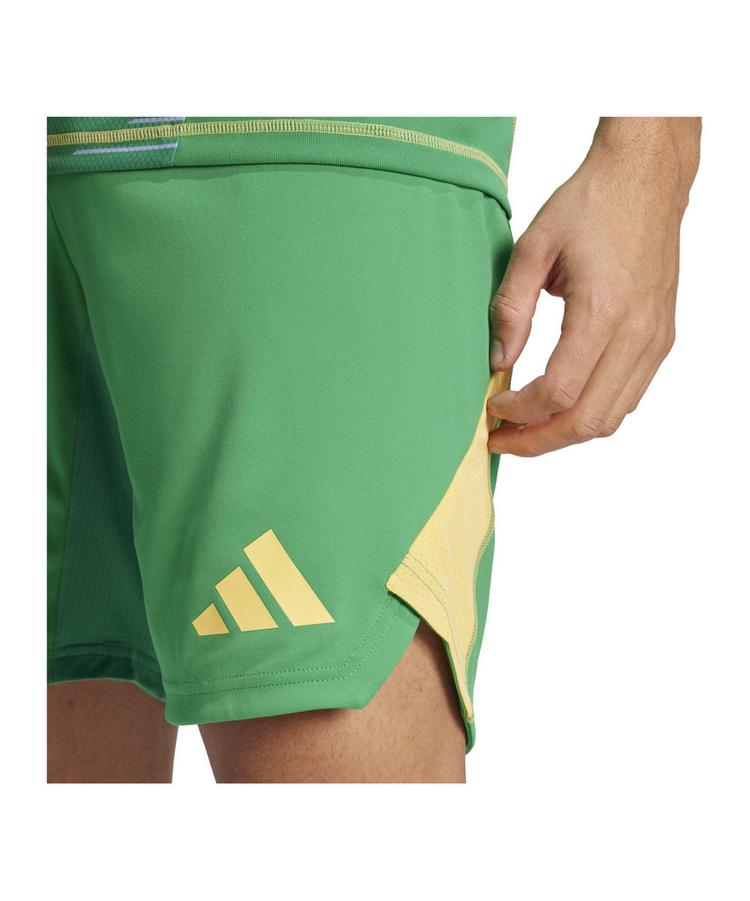 adidas adidas Tiro 24 Pro Torwartshort Torwarthose Herren - gruen - 2 | SportScheck