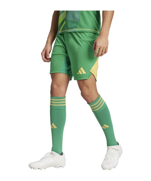 Rückansicht von adidas Tiro 24 Pro Torwartshort Torwarthose Herren gruen