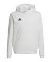 adidas Entrada 22 Hoody Kids Funktionssweatshirt Kinder - weissschwarz