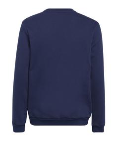 Rückansicht von adidas Entrada 22 Sweatshirt Kids Funktionssweatshirt Kinder blau