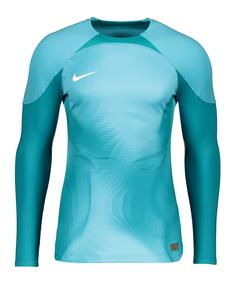 Nike Foundation Torwarttrikot langarm Fußballtrikot Herren blauweiss