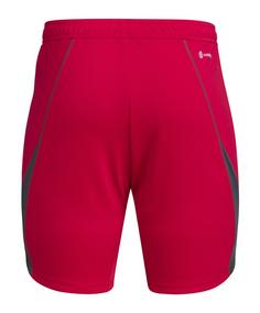 Rückansicht von adidas Tiro 23 Pro Torwartshort Torwarthose Herren rot