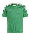 adidas Campeon 23 Trikot Kids Trikot Kinder - gruen