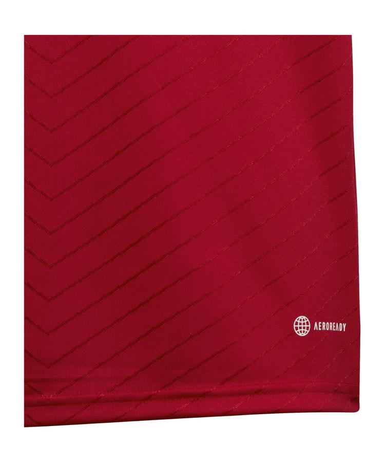 adidas adidas Campeon 23 Trikot Kids Trikot Kinder - rot - 1 | SportScheck