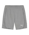 PUMA teamFINAL Casuals Shorts Fu&szlig;ballshorts Herren - grausilber