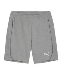 PUMA teamFINAL Casuals Shorts Fu&szlig;ballshorts Herren - grausilber