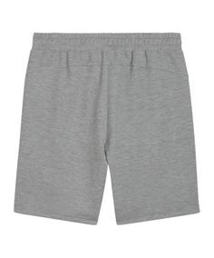 Rückansicht von PUMA teamFINAL Casuals Shorts Fußballshorts Herren grausilber