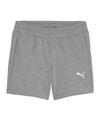 PUMA teamGOAL Casuals Shorts Damen Fu&szlig;ballshorts Damen - grauweiss