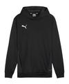 PUMA teamGOAL Hoody Funktionssweatshirt Herren - schwarzweissgrau