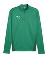 PUMA teamGOAL Training 1/4 Zip Sweatshirt Funktionssweatshirt Herren - gruengruen