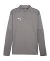 PUMA teamFINAL Training 1/4 Zip Sweatshirt Trikot Herren - grausilber