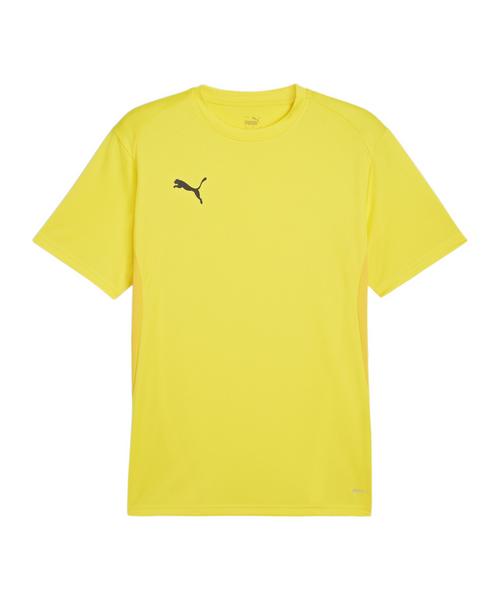 PUMA teamGOAL Trikot Funktionsshirt Herren