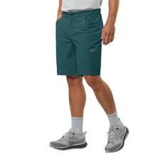 Rückansicht von Jack Wolfskin GRAVEX SHORTS M Fahrradshorts Herren emerald