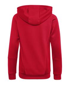 Rückansicht von adidas Tiro 23 Competition Hoody Funktionssweatshirt Herren rot