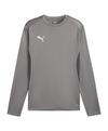 PUMA teamGOAL Training Sweatshirt Funktionssweatshirt Herren - grauweissgrau