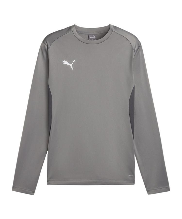 PUMA PUMA teamGOAL Training Sweatshirt Funktionssweatshirt Herren - grauweissgrau - 0 | SportScheck