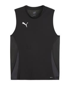 PUMA TeamGoal Trikot Fußballtrikot Herren schwarz