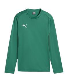 PUMA teamGOAL Training Sweatshirt Kids Funktionssweatshirt Kinder gruengruenweiss