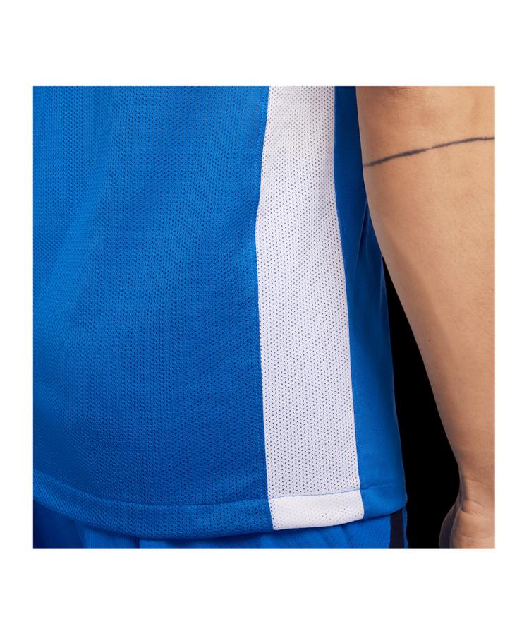 Nike Nike Challenge V Trikot Trikot Herren - blauweissweiss - 1 | SportScheck