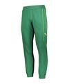 PUMA KING Pele Jogginghose Trainingshose Herren - gruengelb
