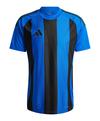 adidas Striped 24 Trikot Trikot Herren - blauschwarz