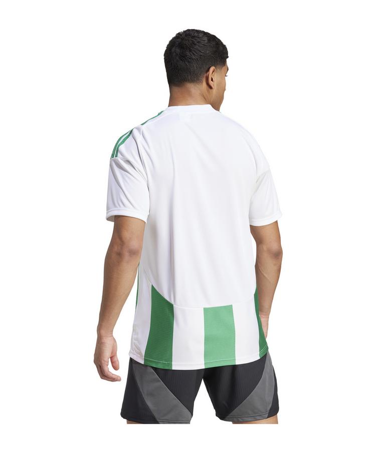 adidas adidas Striped 24 Trikot Trikot Herren - weissgruen - 1 | SportScheck