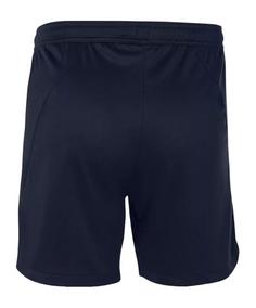 Rückansicht von Nike Team Court Short Laufshorts Herren blau