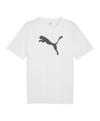 PUMA T-Shirt Funktionsshirt Herren - weissschwarz