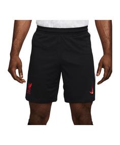 Nike FC Liverpool Short 3rd 2024/2025 Fußballshorts schwarzweiss