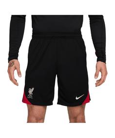 Nike FC Liverpool Trainingsshort Fußballshorts grau