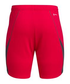 Rückansicht von adidas Tiro 23 Pro Torwartshort Kids Torwarthose Kinder rot