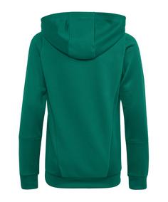 Rückansicht von adidas Tiro 23 Competition Hoody Kids Funktionssweatshirt Kinder gruen