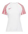 Nike Academy Trikot Damen Trikot Damen - weissweissrot