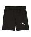 PUMA TeamFinal Training Short Kids Fu&szlig;ballshorts Kinder - schwarzsilber