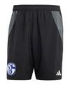 adidas FC Schalke 04 Short Fu&szlig;ballshorts - schwarzgrau