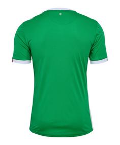 Rückansicht von hummel AS St. Etienne Trikot 3rd 2024/2025 Fußballtrikot gruen