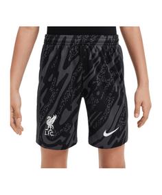 Nike FC Liverpool Torwartshort 2024/2025 Kids Fußballshorts Kinder grau