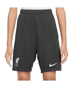 Nike FC Liverpool Academy Short Kids Fußballshorts Kinder grauweiss