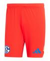 adidas FC Schalke 04 TW-Short 2024/2025 Fu&szlig;ballshorts - rot