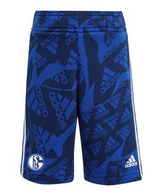 adidas FC Schalke 04 Camlog Short Kids Fußballshorts Kinder blau