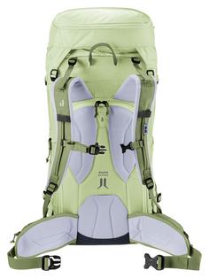 Rückansicht von Deuter Rise 32+ SL Skirucksack Damen mineral grove