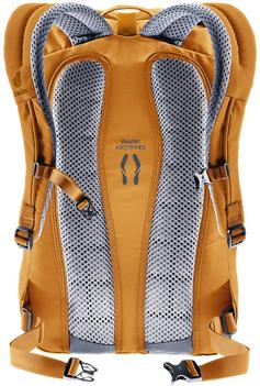 Rückansicht von Deuter Rucksack Stepout 22 Daypack amber maple