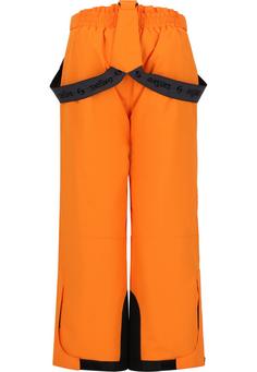 Rückansicht von ZigZag Provo Skihose Kinder 5081 Oriole