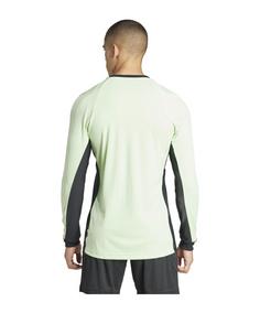 Rückansicht von adidas Trikot langarm Fußballtrikot Herren gruen