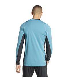 Rückansicht von adidas Trikot langarm Fußballtrikot Herren blau