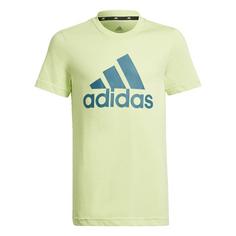 adidas Essentials T-Shirt T-Shirt Kinder Pulse Lime / Legacy Teal