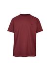 Cleptomanicx Embroidery Gull Mono T-Shirt Herren - Tawny Port