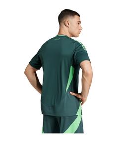 Rückansicht von adidas Algerien Trikot Away 2024 Fußballtrikot gruengruen