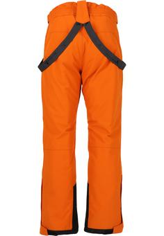 Rückansicht von Whistler Drizzle Skihose Kinder 5141 Autumn Maple